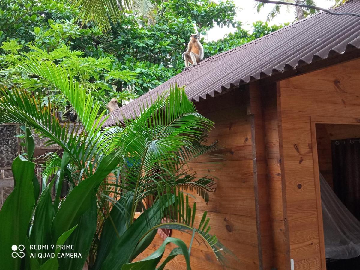 Magic World Hotel Palolem Bagian luar foto