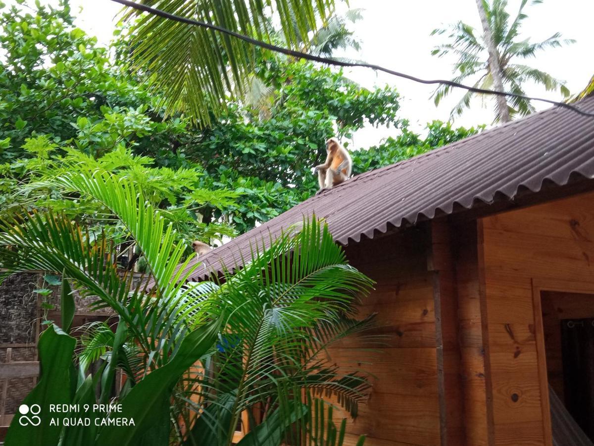 Magic World Hotel Palolem Bagian luar foto
